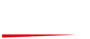 shin шина
